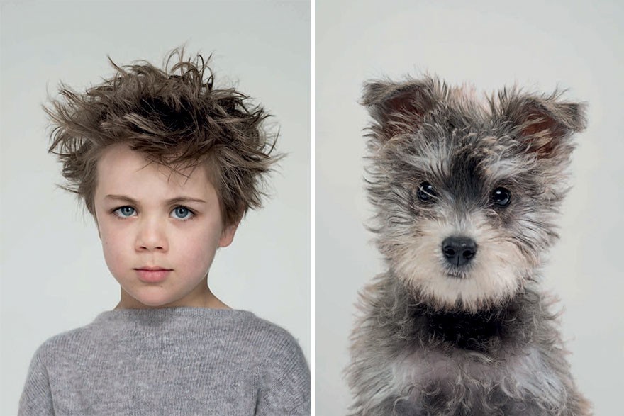 1. Benji &amp; Harper