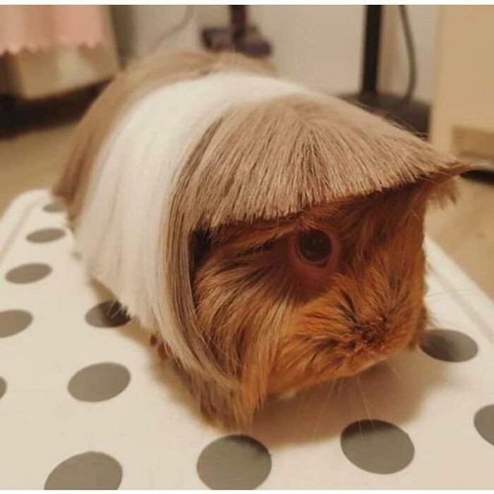 Kiedy mama obetnie Ci włosy