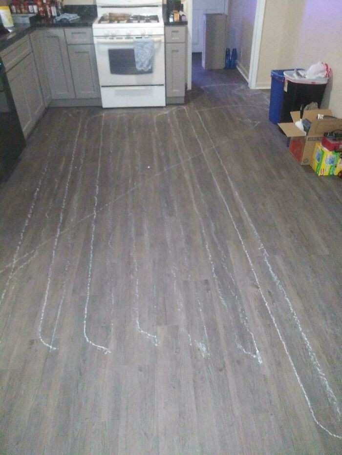 5. „Robię remont i mój Roomba znalazł malutki kawałek płyty gipsowej.”