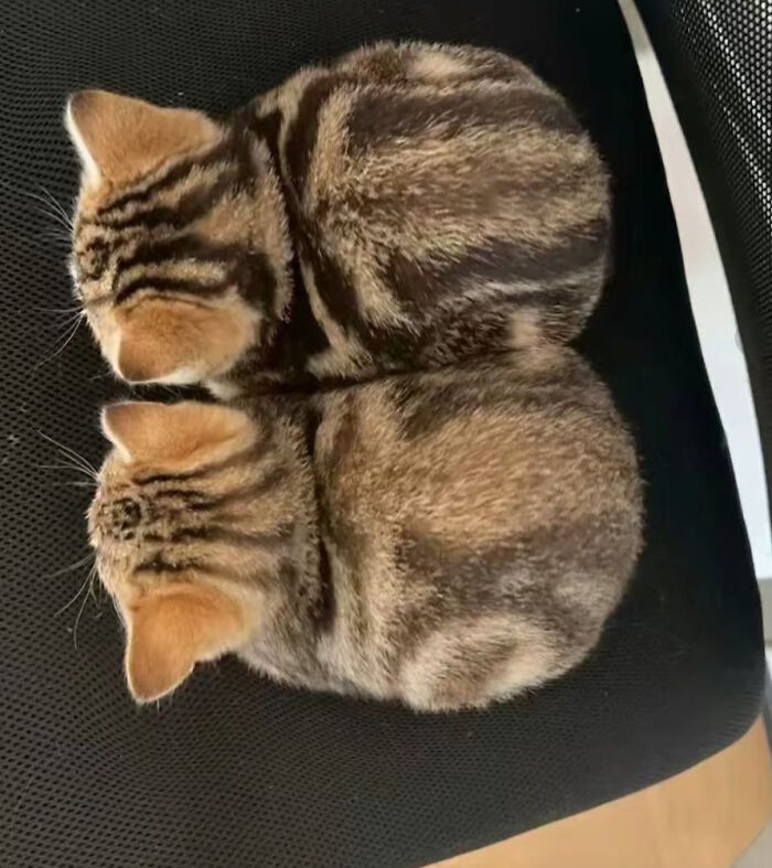 #14 Ctrl C + Ctrl V