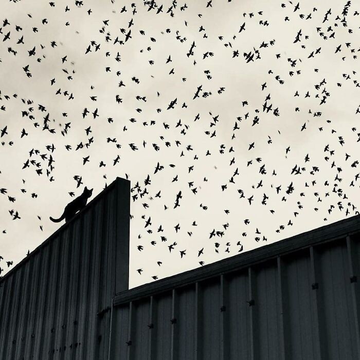 #15 Photo By Nadia Anemiche
