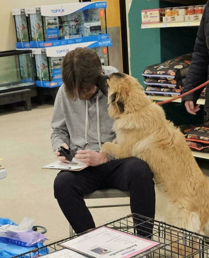 #9 Dzień adopcji