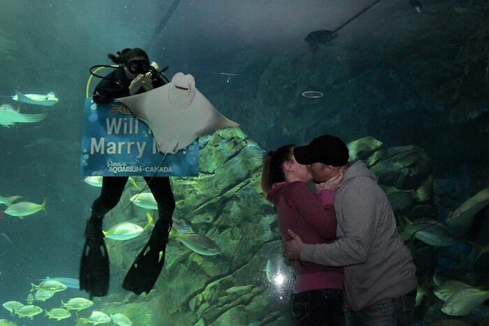 #5 Mój chłopak oświadczył mi się w akwarium Ripley’s w Toronto… a ta płaszczka zepsuła każde zdjęcie, wchodząc w kadr