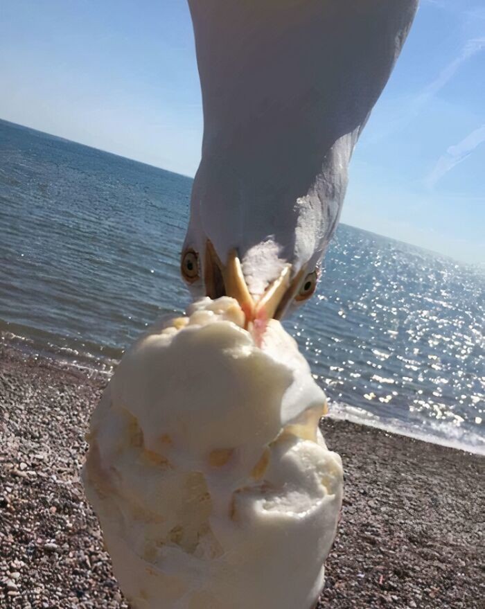 #16 Zwykłą fotka z plaży