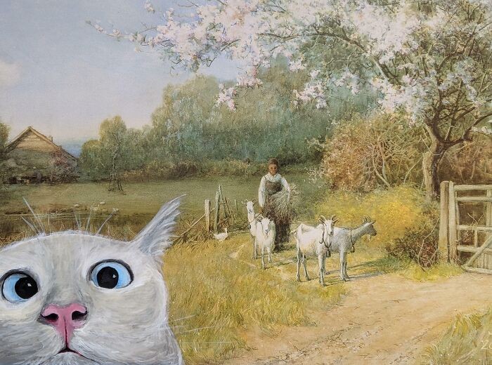 #2 Cat Bombing, My Latest Thing. Didn't Remember To Take A Before Picture But Think It's Pretty Obvious What I Added