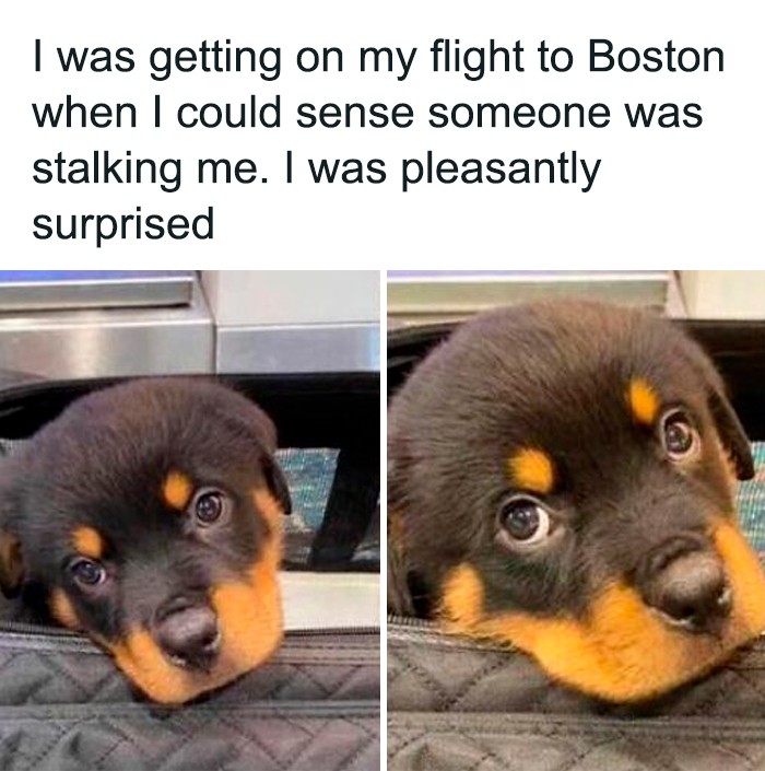 Wsiadałam na lot do Bostonu, gdy poczułam, że ktoś mnie obserwuje. Byłam mile zaskoczona.