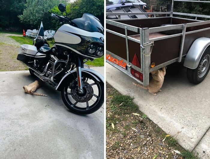 W poprzednim życiu była mechanikiem
