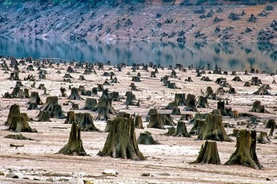 27 smutnych zdjęć które pokazują jak ludzkość niszczy swoją planetę! 19 jest szokujące.