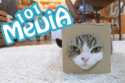 Funny animals 101