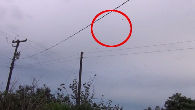 Patrząc w niebo był przekonany, że to ptaki! Gdy się przyjrzał dokładnie przeżył szok! 