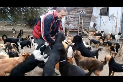 Wziął pod opiekę 450 bezdomnych psów! Zobacz jak sobie radzi! Chwyta za serce! 