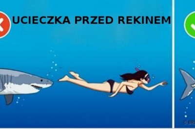 18 faktów, które zupełnie Cię zaskoczą. W pierwszej chwili stwierdzisz, że to niemożliwe