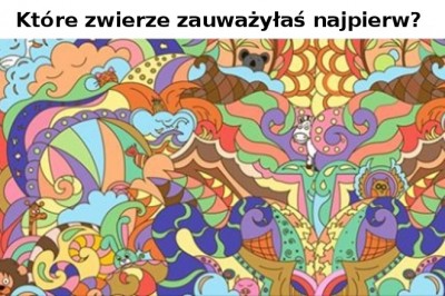 Zwierzę, które dostrzeżesz jako pierwsze zdradzi typ twojej osobowości. Tak działa podświadomość 