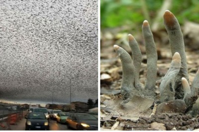 21 zdjęć pokazujących jak przerażająca może być natura. Od samego oglądania tych fotografii dostaje dreszczy
