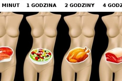 Ile trwa trawienie różnego jedzenia? To istotnie wpływa na Twoją wagę
