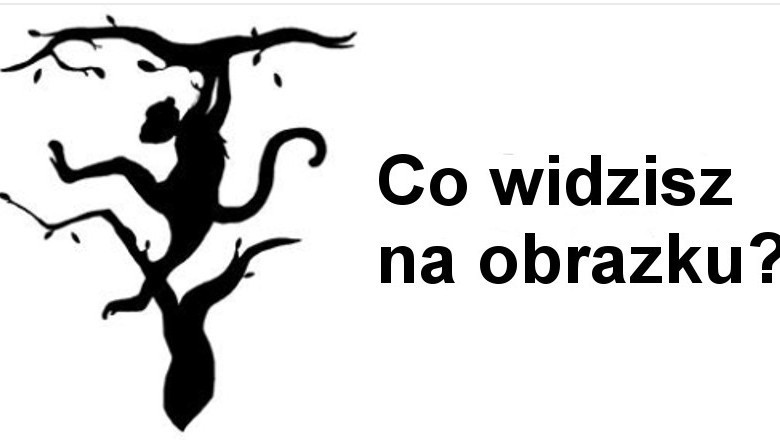 Pierwszy obraz, który zobaczysz, pokaże którą półkule mózgu masz dominującą