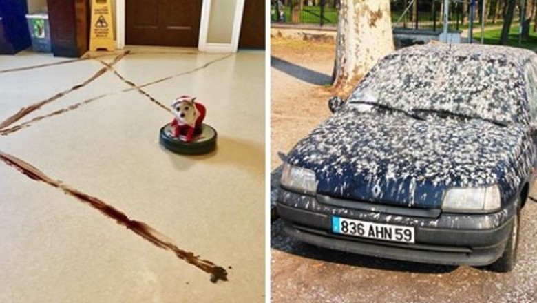 Ludzie podzielili się momentami, kiedy życie wzięło ich zupełnie z zaskoczenia