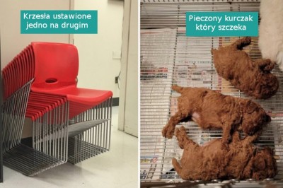 18 zdjęć, które sprawią, że przetrzesz oczy ze zdumienia