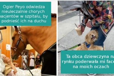 16 pozytywnych zdjęć, które poprawią Ci nastrój nawet w najsmutniejszy dzień
