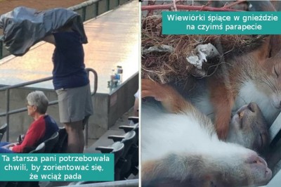 16 zdjęć, które mogą natychmiastowo poprawić ci humor