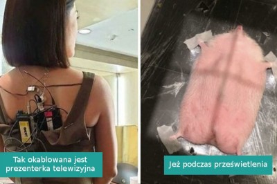 17 zdjęć ukazujących nasz świat z alternatywnej strony