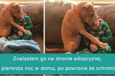 18 właścicieli, którzy pokochali swoje zwierzaki nad życie