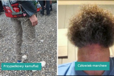 15 zdjęć, które zasługują na miejsce w muzeum zdziwienia i zmieszania