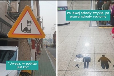 16 zdjęć udowadniających, że Korea Południowa to zupełnie inny świat