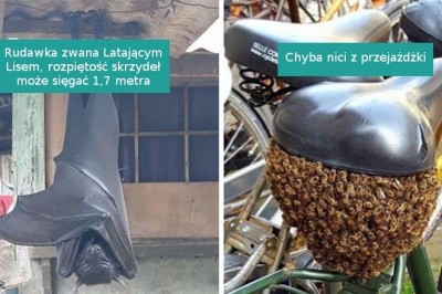 20 przykładów, kiedy matka natura mówi nam zdecydowane NIE i czas się wycofać