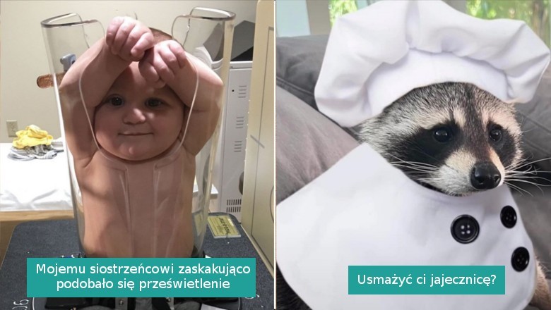15 zdjęć, które osłodzą twój ponury dzień i dodadzą trochę uśmiechu