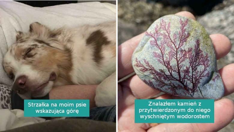 16 zdjęć pokazujących, że natura nigdy nie przestanie nas zaskakiwać