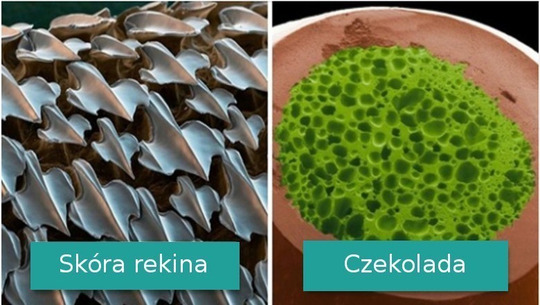 Galeria zdjęć pokazujących jak wyglądają codzienne rzeczy pod dużym powiększeniem