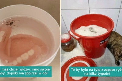 15 zdjęć osób, które rozpaczliwie potrzebują przytulenia po ciężkim dniu