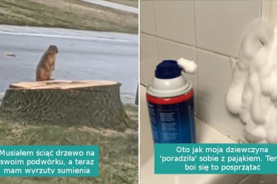 16 osób, których zwyczajny dzień został wywrócony do góry nogami