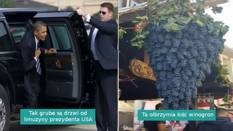 Ci ludzie zauważyli imponujące „absolutne jednostki” i musieli się nimi podzielić