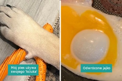 15 osób, które odkryły coś niezwykłego
