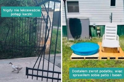 16 zdjęć, które powstały tylko po to by poprawić nam nastrój