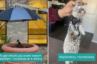 16 zdjęć, przy których uśmiech sam ciśnie nam się na usta