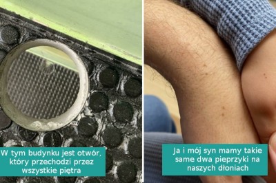 15 „umiarkowanie interesujących” zdjęć pokazujących, że codzienność potrafi zaskoczyć