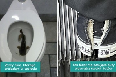 15 zdjęć tak mylących, że nawet Google nie jest w stanie nam pomóc