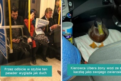 16 fotografii pokazujących, że małe cuda otaczają nas z każdej strony