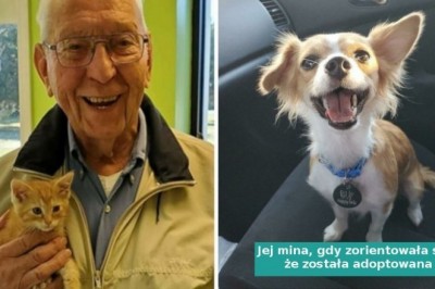 15 szczęśliwych zwierzaków, które znalazły nowy dom i kochających właścicieli