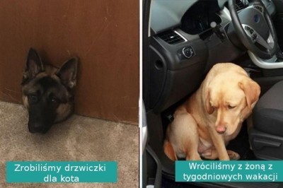 Każda z tych fotografii ma za sobą wzruszającą i ciekawą historię powstania