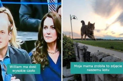 14 dziwnych przypadków, które zupełnie oszukały nasz wzrok
