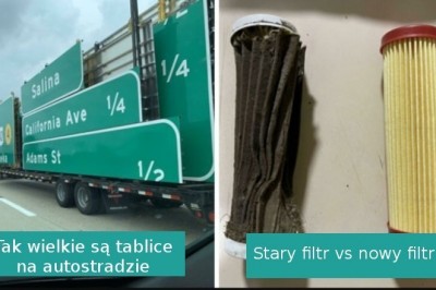 16 „zwyczajnych” fotografii, pokazujących nietypową stronę codziennego życia