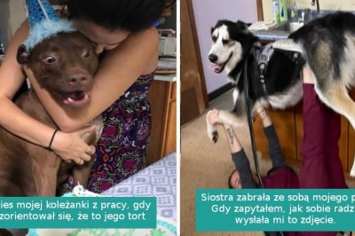15 szczęściarzy, którzy natknęli się na swoje czworonożne bratnie dusze