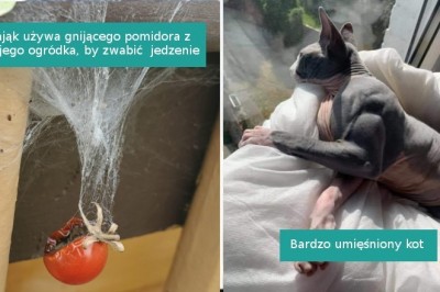 18 przypadków, w których natura zaskoczyła nas swoją unikalnością