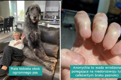 16 niezwykłych rzeczy, których nie zobaczy się na co dzień