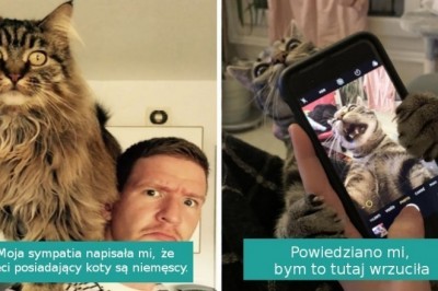 20 najzabawniejszych fotografii kotów wrzuconych przez właścicieli do Internetu