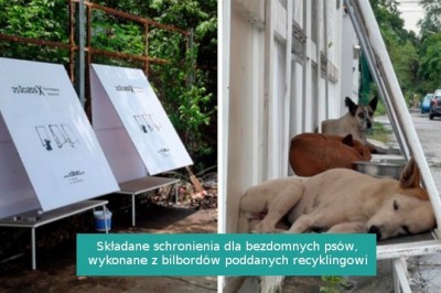 15 błyskotliwych pomysłów, którymi kreatywni właściciele docenili swoje zwierzaki